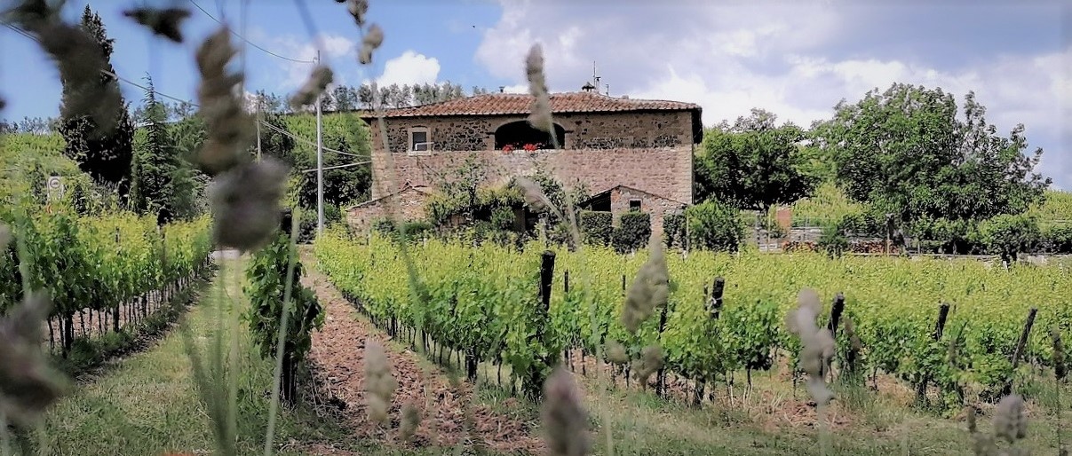 Half Day Chianti Wine Tour from Siena