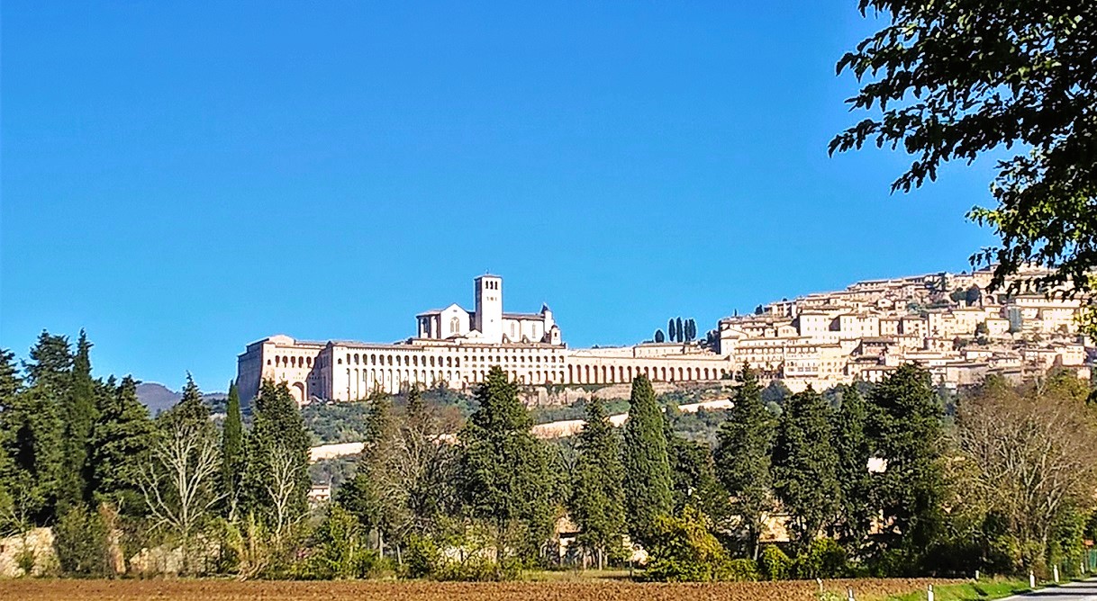 Assisi with Wine and Olive Oil Tour from Siena