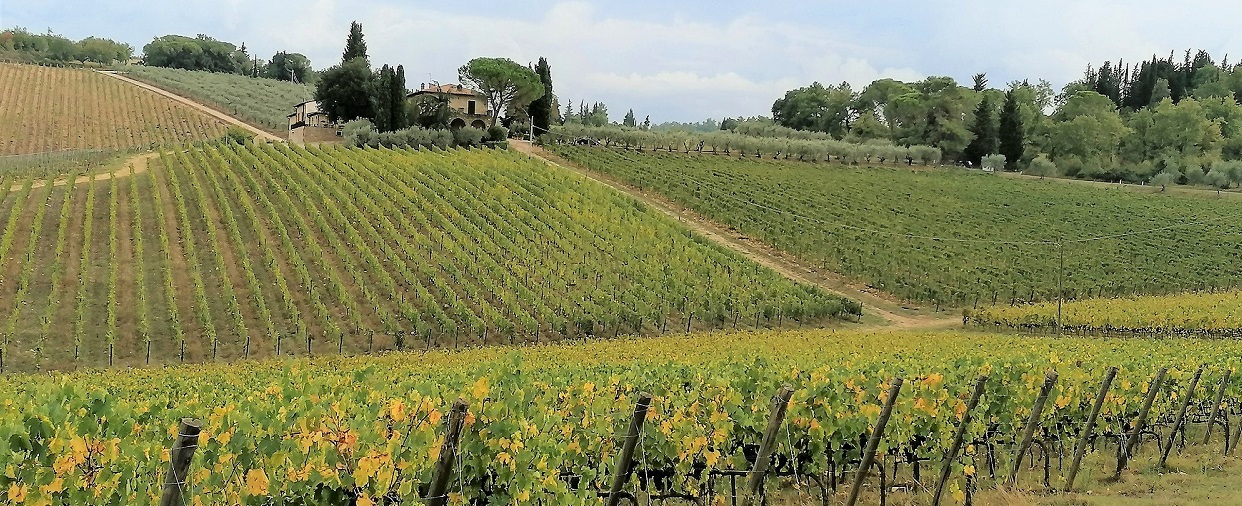 Wine Tasting Tour in Chianti from Florence
