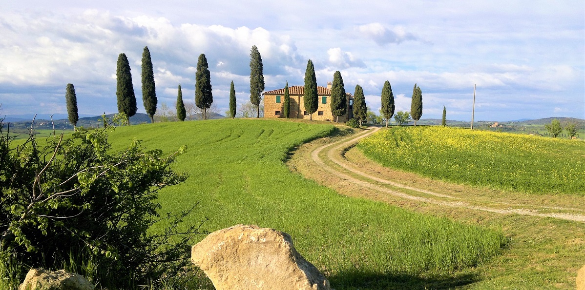 Day Tour to Chianti San Gimignano and Monteriggioni